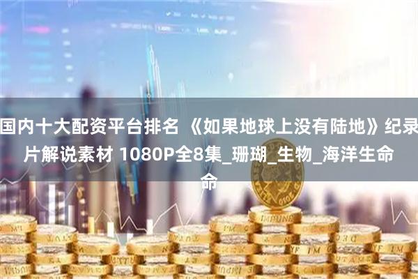国内十大配资平台排名 《如果地球上没有陆地》纪录片解说素材 1080P全8集_珊瑚_生物_海洋生命